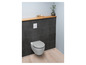 Des toilettes blanches avec un couvercle gris, montées sur un mur de carreaux sombres.
