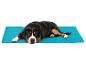 Un chien sur un rafraîchissant tapis pour chien bleu.