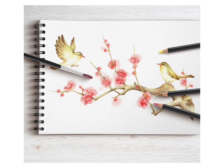 Oiseaux à l'aquarelle sur une branche de prunier dans un carnet de croquis.