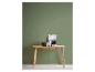 Console en bois avec cadre photo, plante et objets décoratifs sur un mur vert.