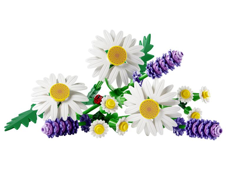 Un bouquet de marguerites blanches et de fleurs de lavande violettes avec une coccinelle.