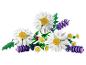Un bouquet de marguerites blanches et de fleurs de lavande violettes avec une coccinelle.