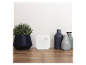 Appareil domotique blanc à côté d'une plante et de vases décoratifs sur une surface en bois.