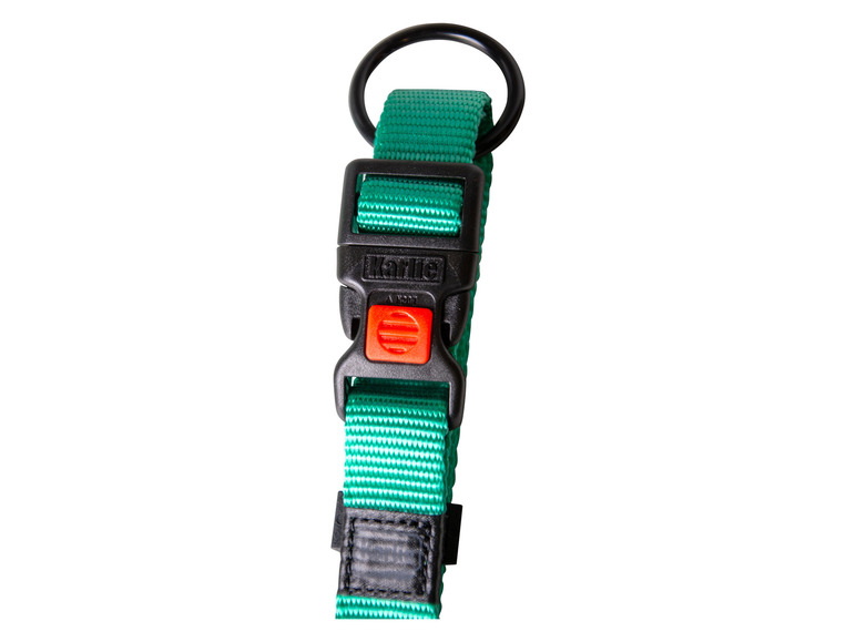 Aller en mode plein écran : Collier avec laisse - Image 20