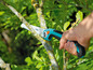 Une main utilisant une scie pour couper une branche.