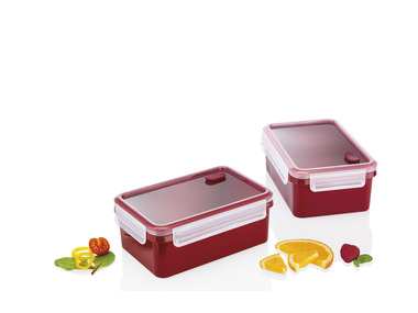 ERNESTO® Lot de 2 ou 3 boîtes de conservation