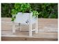 Un pot de fleurs en bois blanc avec du basilic sur une terrasse en bois.
