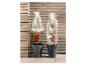 Deux plants de tomates en pots avec des housses de protection en plastique.
