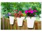Pots blancs avec des fleurs colorées suspendus à une clôture en bois.