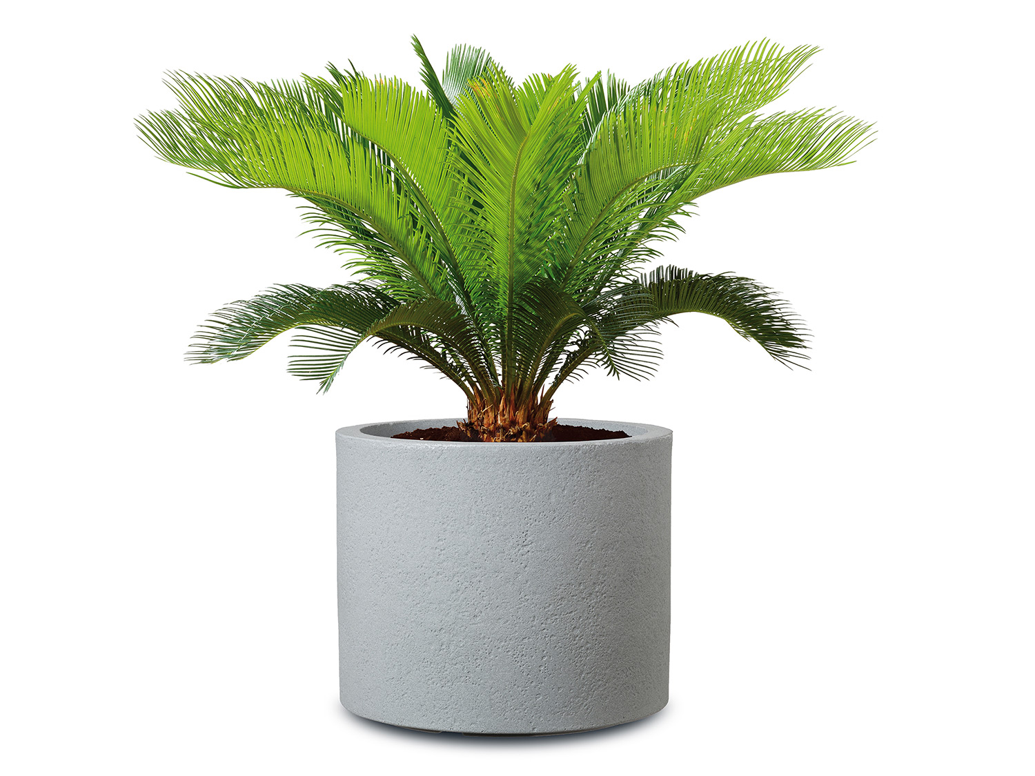 Scheurich Pot à plantes « Riva », plastique, rond (50 cm, gris)