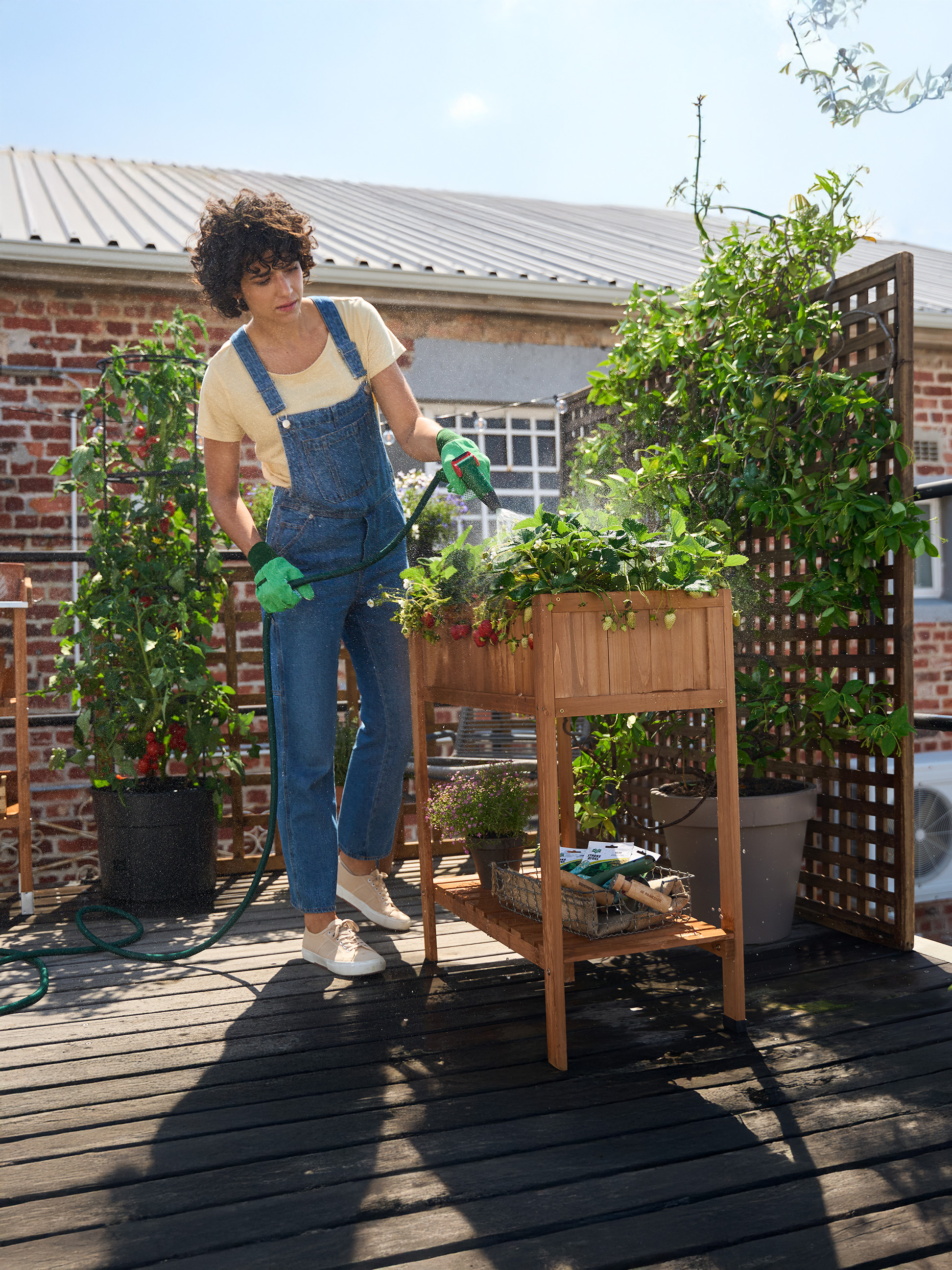 Femme arrosant des fraisiers dans une jardinière surélevée en bois sur un toit-terrasse ensoleillé.