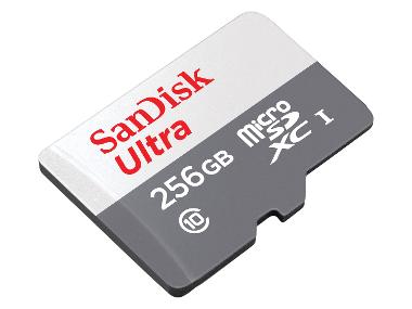 SANDISK Carte mémoire flash - 256 Go - microSDXC Ultra Lite