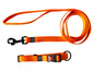 Une laisse et un collier pour chien orange avec une fermeture à clip noire.