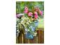 Pots de fleurs de balcon avec impatiens roses et bacopa blanche retombante.