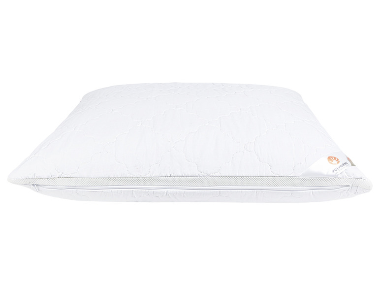 Aller en mode plein écran : LIVARNO home Oreiller Polygiene®, 60 x 60 cm - Image 4