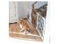 Chien assis devant deux barrières de sécurité blanches pour escaliers dans un couloir en bois.