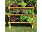 Jardinière en bois à trois niveaux pour cultiver de la laitue et des herbes.