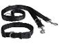 Collier et laisse noirs ZooFari pour chien.
