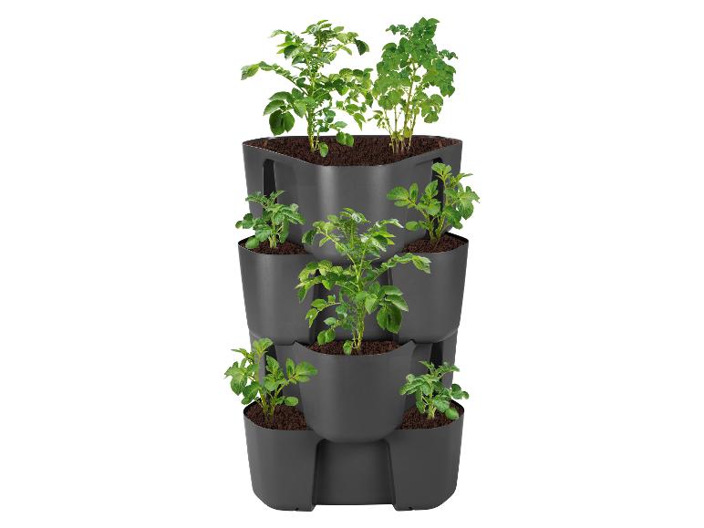 Jardinière verticale grise avec des plants de pommes de terre