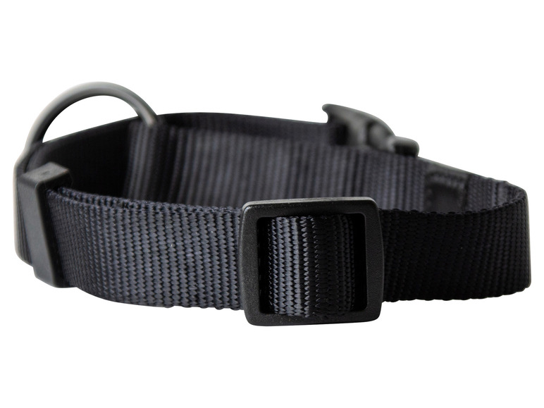 Aller en mode plein écran : Collier avec laisse - Image 39