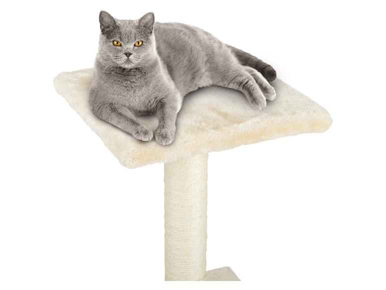 Chat gris sur un arbre à chat beige