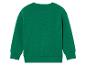 Un sweat-shirt vert à manches longues.