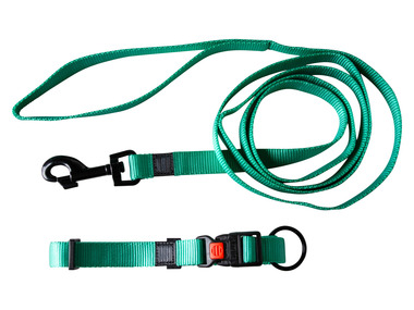 KARLIE Collier et laisse pour chien (menthe)