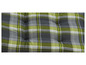 Un coussin à carreaux verts et gris.