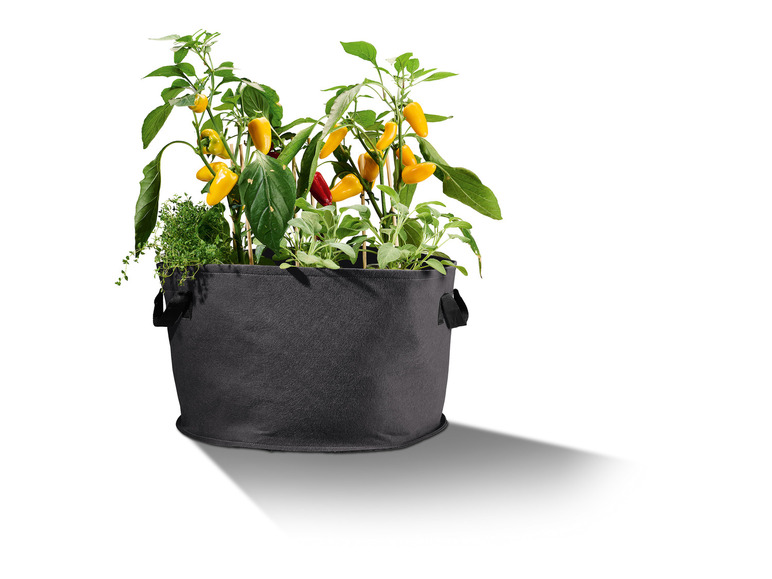 Aller en mode plein écran : PARKSIDE® Lot de 2 sacs à plantes en non-tissé - Image 29