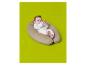Bébé souriant allongé sur un coussin d'allaitement beige, tenant un jouet vert.