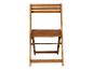 Une chaise de jardin en bois pliable.