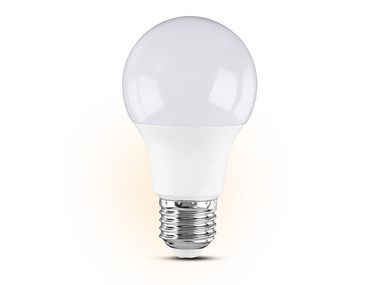 LIVARNO home Lot de 6 ampoules LED