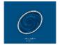 Un pot de peinture ouvert avec de la peinture bleue tourbillonnante, avec le texte « Classic Cornflower » et « THE COLOR KITCHEN ».