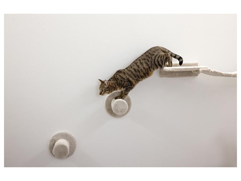 Chat tigré sur un escalier mural pour chats avec des marches et des plateformes en peluche.