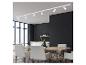 Luminaire sur rail blanc BRILONER avec spots orientables dans une salle à manger moderne.