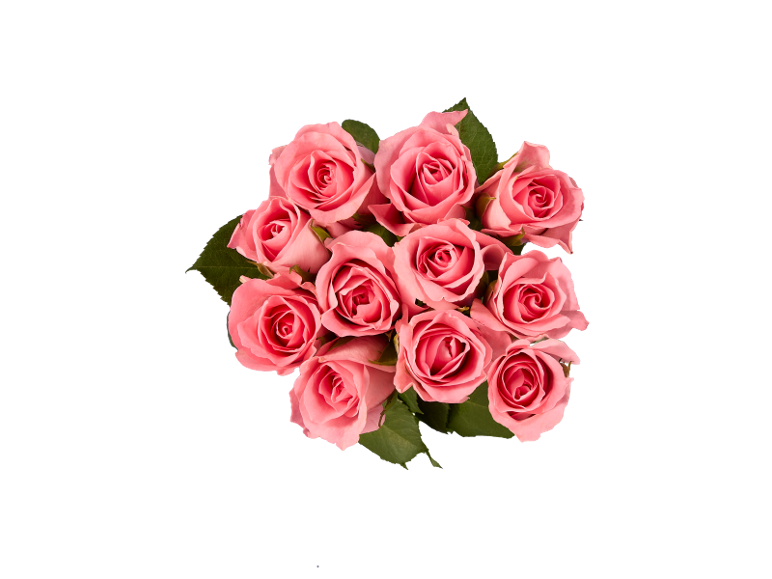 Bouquet de roses roses avec des feuilles vertes sur fond noir