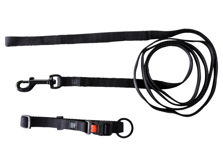 Aller en mode plein écran : Collier avec laisse - Image 34
