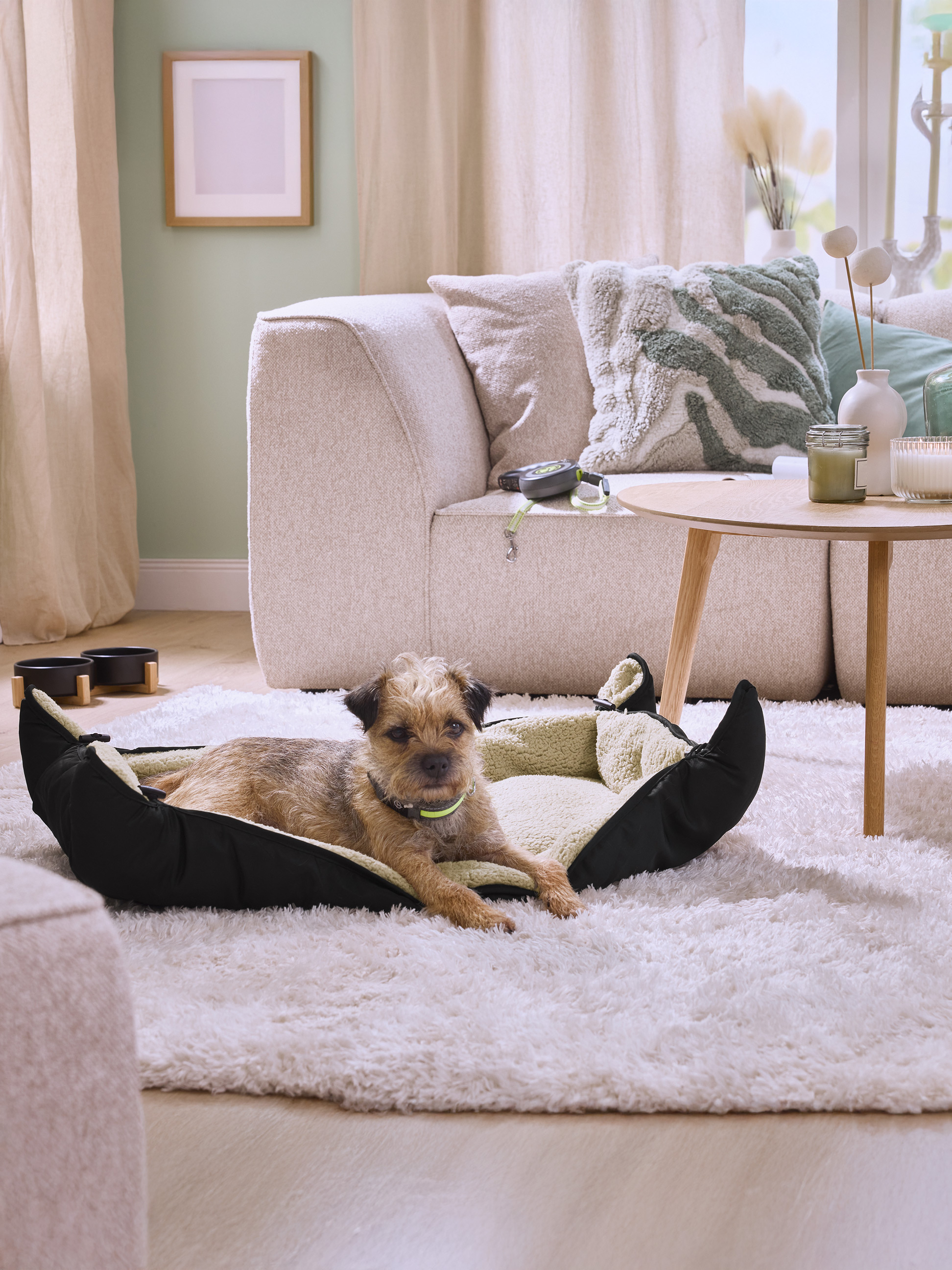 Chien dans un panier pour chien, canapé, table basse et gamelles dans un salon.