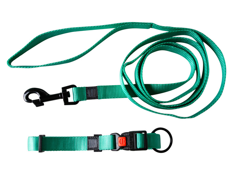 Une laisse et un collier pour chien vert avec une boucle à clip de la marque Ruffwear.