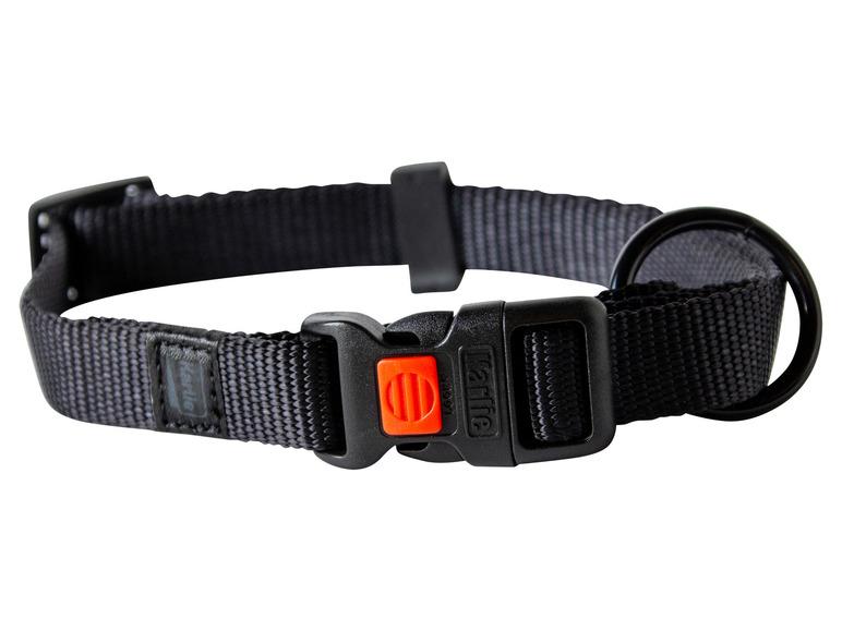 Aller en mode plein écran : Collier avec laisse - Image 38