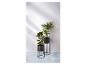 Deux supports de plantes noirs avec des plantes.