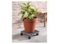 Une plante dans un pot en terre cuite sur un chariot à plantes gris avec des roues.
