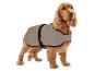 Chien Cocker Spaniel avec un imperméable beige