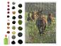 Kit broderie diamant : chevaux au galop, paysage verdoyant.