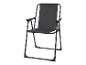 Chaise pliante noire avec accoudoirs, idéale pour le jardin.