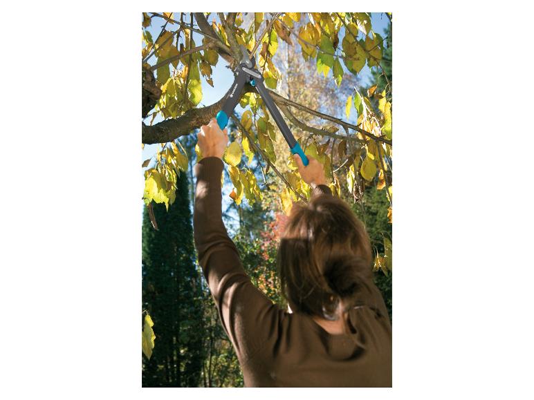 Femme taillant un arbre avec un sécateur de jardin Gardena.