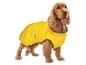 Chien Cocker Spaniel portant un imperméable jaune vif, debout sur fond blanc