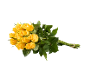 Bouquet de roses jaunes avec des tiges vertes, attachées.