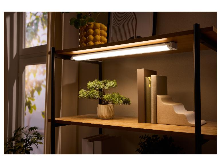 Étagère illuminée avec plantes et livres, avec un tube LED sous l'étagère supérieure.