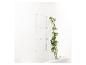 Une plante verte pousse le long d'un mur avec des fils